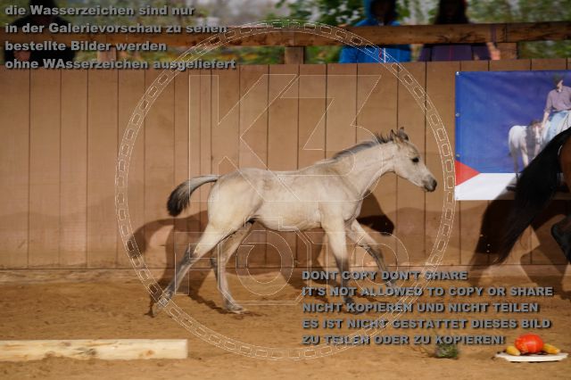s_K3F05238.JPG
